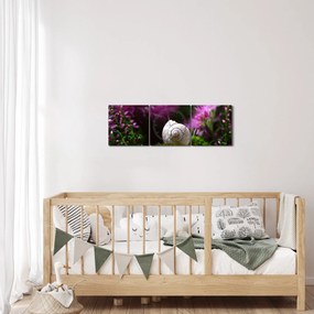 Obraz - Muszla ślimaka (z zegarem) (90x30 cm)