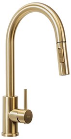 REA-B9148 - Bateria zlewozmywakowa z wysuwaną wylewką prysznicową FRESH 39,5 cm, szczotkowane złoto