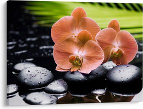 Obraz - Pomarańczowa orchidea z liśćmi palmy (70x50 cm)