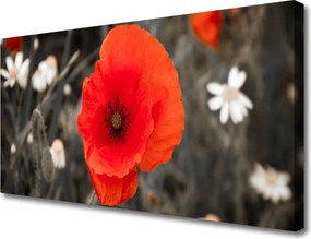 Obraz drukowany na płótnie Harmonijna Roślinność Kwiatowa