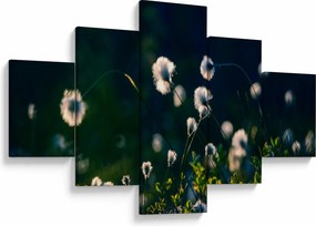 Obraz - Trawa (125x70 cm)