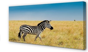 Obraz na płótnie Zebra na Sawannie