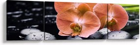 Obraz - Pomarańczowa orchidea z liśćmi palmy (170x50 cm)