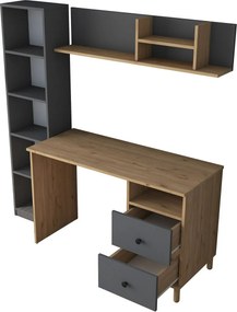 Biurko Hapem Walnut and Anthracite