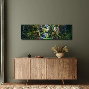 Obraz - Rzeka w skalistej dolinie (170x50 cm)