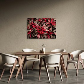 Obraz na szkle czerwonych płatków (70x50 cm)