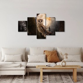 Obraz sowy palonej (125x70 cm)