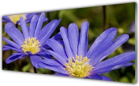 Panel Szklany do Kuchni Botaniczna Elegancja