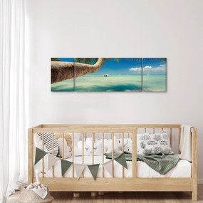 Obraz - Czyste morze z palmą (170x50 cm)