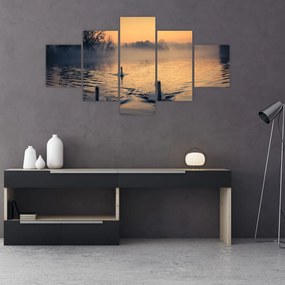 Obraz łabędzi na wodzie we mgle (125x70 cm)