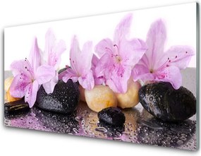 Panel Szklany Szlachetna Różowa Lilia