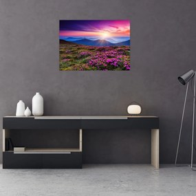 Obraz na szkle - Krajobraz kwitnących gór (70x50 cm)