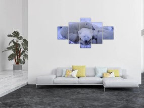Obraz - Niedźwiadki polarne (125x70 cm)