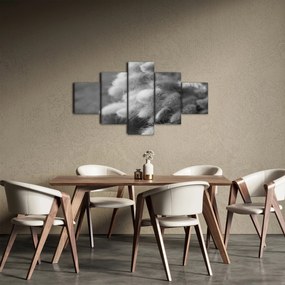 Obraz - trawa z króliczym ogonkiem na stole (125x70 cm)