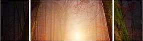 Obraz jesiennego lasu we mgle (170x50 cm)