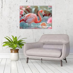 Obraz - Flaming w stawie (70x50 cm)