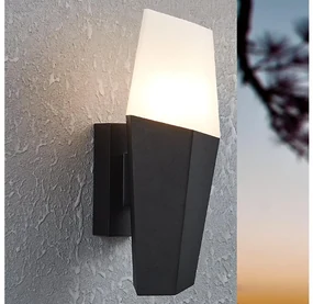 Eglo 900682 - Kinkiet zewnętrzny FARINDOLA 1xE27/25W/230V IP44