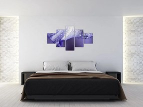 Obraz - Płatek z kroplami (125x70 cm)