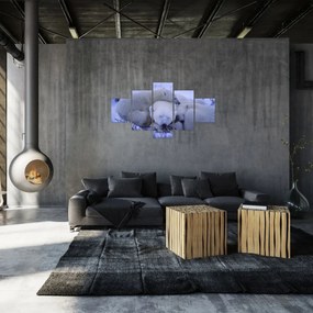 Obraz - Niedźwiadki polarne (125x70 cm)