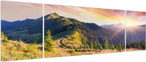 Obraz - Krajobraz leśny (170x50 cm)