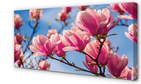Zdjęcie na płótnie Kwitnące Drzewa