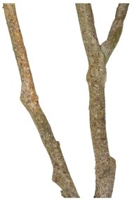 Sztuczna roślina (wysokość 116 cm) Oak Tree – Ixia