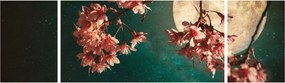 Obraz - Kwiat wiśni podczas pełni (170x50 cm)