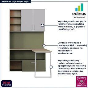 Regał z biurkiem dla nastolatka kaszmir + zielony W9-G98