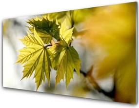 Panel Kuchenny Świeże Liście W Przybliżeniu