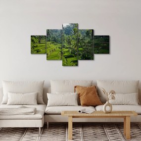 Obraz tarasów ryżowych Tegalalang, Bali (125x70 cm)