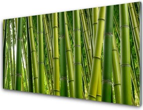Panel Szklany do Kuchni Gęstwina Zielonego Bambusa