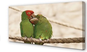 Obraz canvas na ścianę Zielone Papugi w Gęstwinie