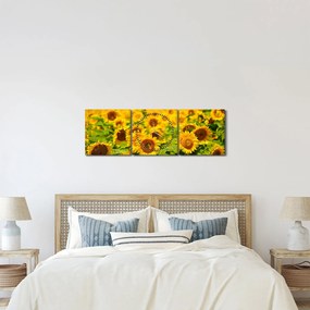 Obraz - Słoneczniki (z zegarem) (90x30 cm)