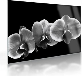 Obraz na szkle kwiatu orchidei (70x50 cm)