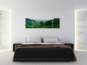 Obraz - Plantacje herbaty w Malezji (170x50 cm)