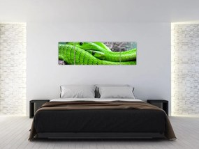 Obraz zielonych węży (170x50 cm)