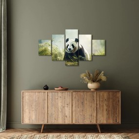 Obraz - Panda (125x70 cm)