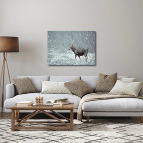Obraz - Łoś w śnieżnym lesie (70x50 cm)