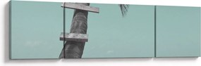 Obraz - Palma na Karaibach (170x50 cm)