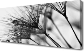 Obraz na płótnie Botaniczna Abstrakcja Graficzna