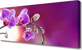 Obraz canvas Bukiet Letnich Kwiatów