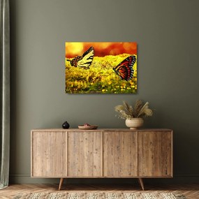 Obraz na szkle - motyle (70x50 cm)