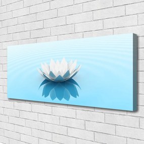 Obraz canvas Naturalna Harmonia Roślin