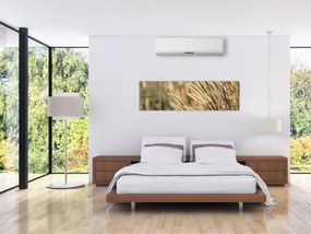 Obraz - Ziarno (170x50 cm)