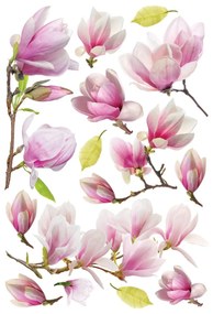 Dekoracja samoprzylepna Magnolia Flowers, 42,5 x 65 cm