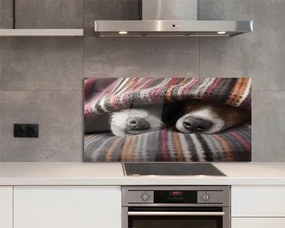 Panel Kuchenny Szklany Słodki Sen Zmęczonych Psów