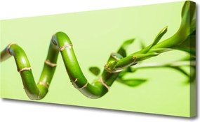 Zdjęcie na płótnie Świeże Pędy Zielonego Bambusa