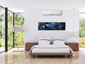 Obraz - Gawron (170x50 cm)