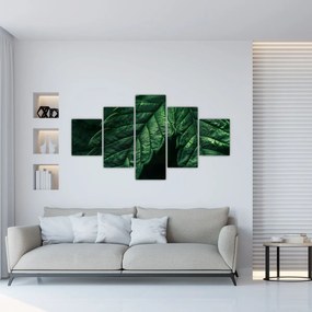 Obraz - Szczegół arkusza (125x70 cm)