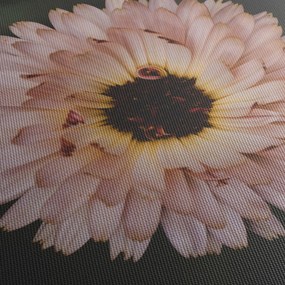 Obraz pomarańczowego kwiatu (z zegarem) (90x30 cm)